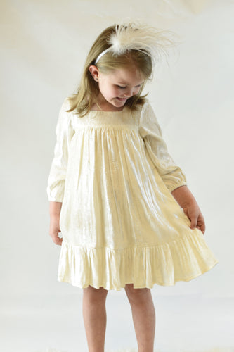 Ivory Velvet Shimmer Dress